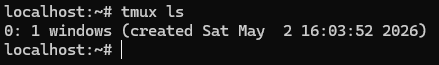 tmux ls